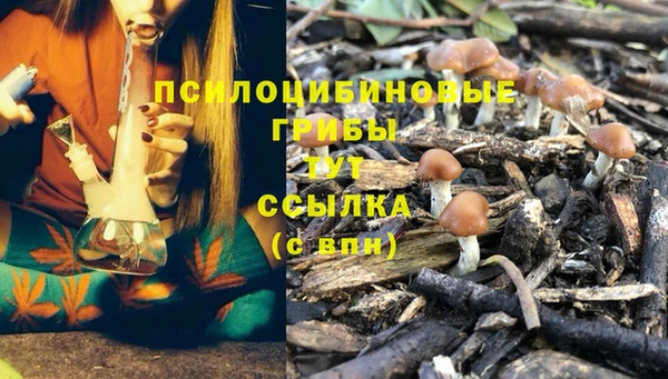 шишки Алзамай