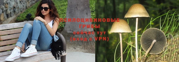 шишки Алзамай