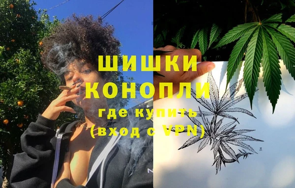 шишки Алзамай