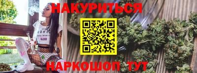 гидропоника Кингисепп