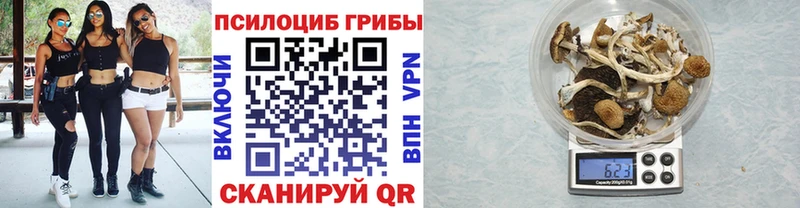 Псилоцибиновые грибы ЛСД  ссылка на мегу как войти  Казань  купить наркотики цена 
