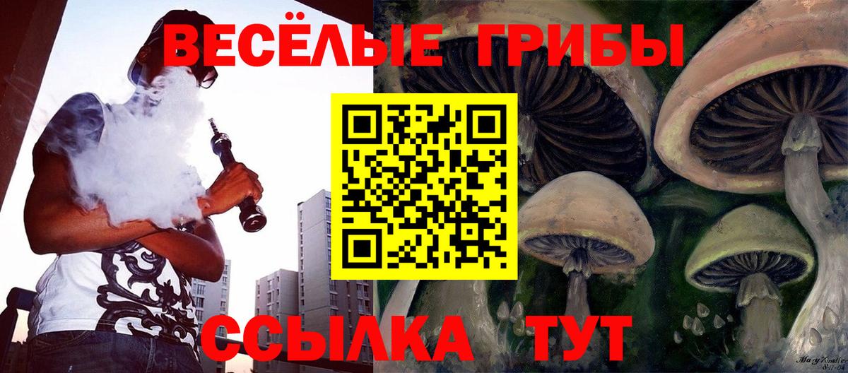 Галлюциногенные грибы прущие грибы Казань